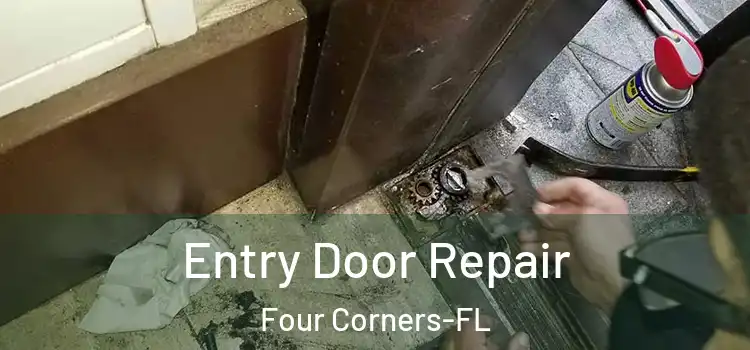 Entry Door Repair Four Corners-FL