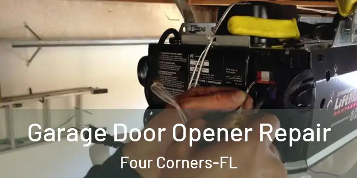 Garage Door Opener Repair Four Corners-FL
