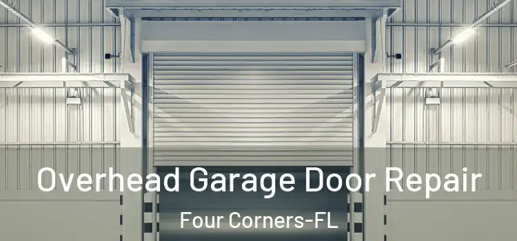  Overhead Garage Door Repair Four Corners-FL